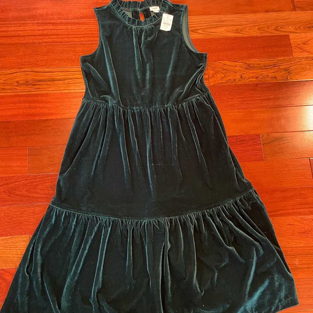 J. Crew Velvet Dress in Deep Green